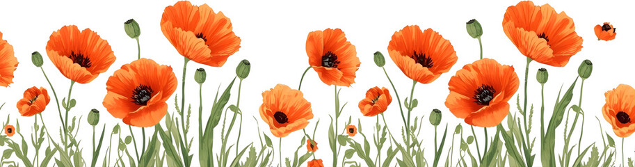 Obraz premium orange flowers in the grass