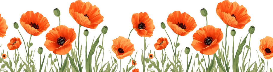 Obraz premium orange flowers in the grass