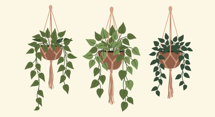 Three different lush green indoor plants in brown terracotta pots hanging from macrame ropes against a light beige background for decor.