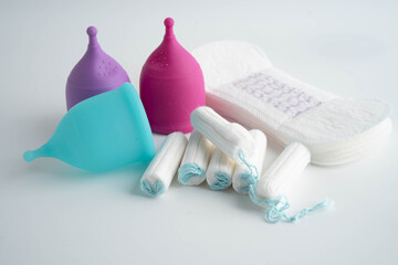Sanitary hygiene set for women menstrual period cycle protection.