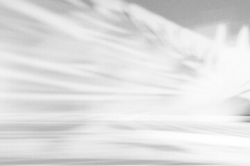 Abstract gray light and shadow overlay creating a minimalist background