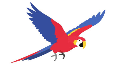 Flying Scarlet Macaw Parrot Bird Isolated on White Background
