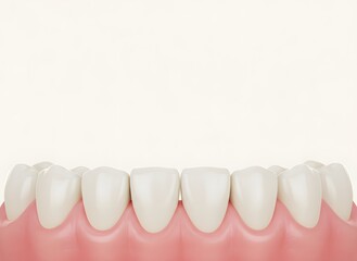 Close-up 3D render of healthy human teeth and pink gums, illustrating dental health and anatomy.