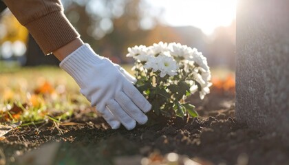 Hand Placing Flowers at Grave in Cemetery on Sunny Day.