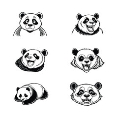 A set of panda isolated on white background