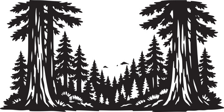 Redwood Forest Landscape Silhouette Black and White Vector Illustration