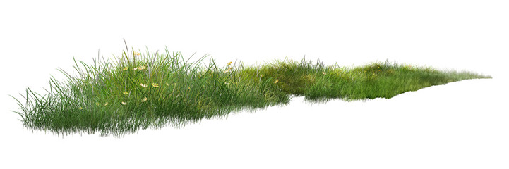 grass isolated on white background/Long strip of wild green grass with small yellow flowers isolated on a white background, symbolizing natural meadow and fresh growth.