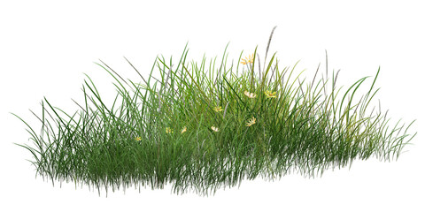 grass isolated on white background/Lush wild grass with small yellow flowers isolated on a white background, representing natural meadow beauty and fresh greenery.