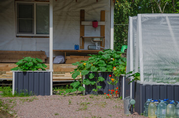 raised beds with greenhouses for growing