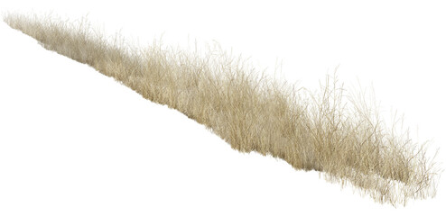feather grass isolated on white/Natural dry wild grass border isolated on a white background, showcasing organic texture and minimalist countryside nature.