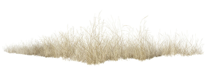 grass isolated on white/Natural dry wild grass border isolated on a white background, showcasing organic texture and minimalist countryside nature.