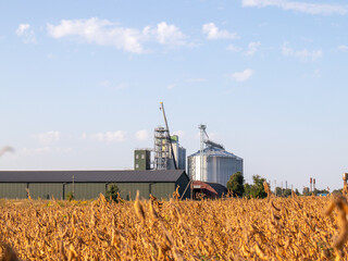 Harvesting season with silos and fields of crops visible
