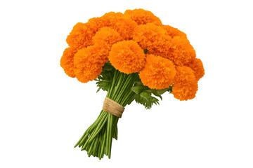 Marigold bouquet featuring vibrant orange flowers bundled stems tied with twine. This floral arrangement represents joy, warmth, and autumn
