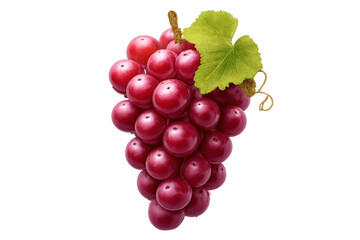Fototapeta premium Red grapes bunch freshly picked with green leaf and tendril, showing healthy organic fruit ready for consumption