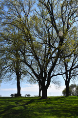 The Plains of Abraham in spring, Qu&eacute;bec, Canada
