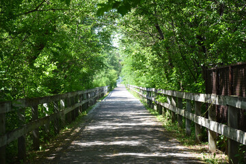 The bike path in summer, Chicoutimi, Qu&eacute;bec, Canada
