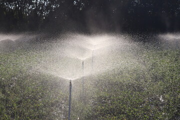 Irrigation system in field: An irrigation system sprinkles water across a field, creating a refreshing mist that nurtures the growing plants. A vital agricultural practice.