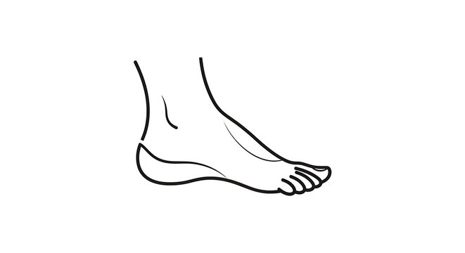 Foot Anatomy Illustration - Simple Line Art of Human Foot.