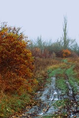 Overcast fall landscape with water reflections on a dirt road 