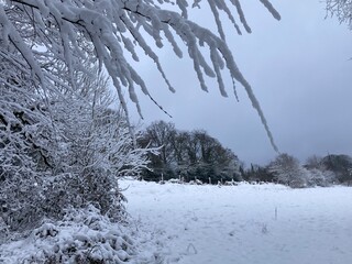 Landschaft mit Wald und Wiese tief verschneit im Winter
