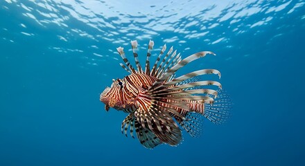 Lionfish in the Deep Blue Sea - A Striking Underwater Portrait.