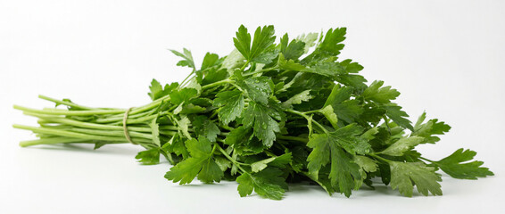 Fresh parsley on a white background. Agriculture and healthy food concept. World Vegan Day