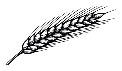 Elegant black and white wheat ear graphic symbolizing agriculture harvest and wholesome food products perfect for bakery branding food packaging beer labels or farming industry logos