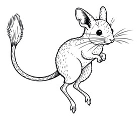 A lively jerboa animal stands upright on its long hind legs with a long tail in an engaging black and white drawing style suitable for nature publications and educational materials