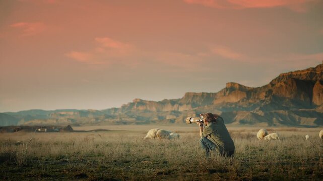 Professional wildlife photographer photographing wild animals in a vast desert landscape during golden hour. Documentary-style nature photography capturing conservation, exploration, adventure, and th