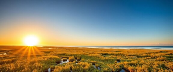 Golden sun dips below horizon, painting saltmarsh in warm hues Tidal waters reflect the light, calm and serene Salt-tolerant plants thrive ,  golden hour,  saltmarsh
