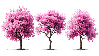 Obraz premium Three digitally rendered cherry blossom trees with vibrant pink foliage against a black background