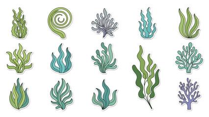 A vibrant collection of diverse underwater seaweed illustrations, featuring various aquatic plants and marine flora designs perfect for ocean-themed projects and natural environment concepts