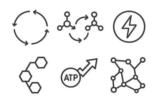 Metabolic Pathway Icons. Line style icons of Metabolic Pathways: circular pathway diagram, molecule exchange arrows, energy