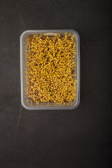 Arugula microgreen seeds start germinating in plastic container with linen growing mat on black background. Urban gardening, organic plant growing at home