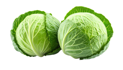 Two fresh green cabbages sit side-by-side against a black backdrop. They display a vibrant green hue with textured, overlapping leaves