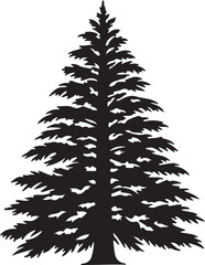 silhouette of coniferous tree © Md. Habibur