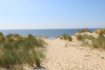Blick aufs Meer &uuml;ber Sandd&uuml;nen mit Gr&auml;sern in Camperduin in Holland an der Nordsee