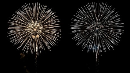 Vibrant fireworks exploding in night sky with stunning bursts of light