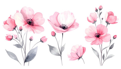 Fototapeta premium Delicate watercolor floral arrangement featuring pink flowers, buds, and green-gray leaves