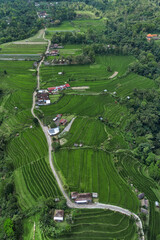 Aerial View Winding Road Rice Fields Revealing Emerald Terraces Cascading Down Hillside, Scattered Houses