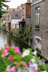 Fototapeta premium canal in bruges belgium