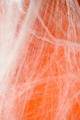 Fototapeta premium Spooky Halloween decoration with white cobweb on an orange background. Mockup, copy space, or template. Perfect for creating a festive atmosphere for Halloween parties or spooky projects