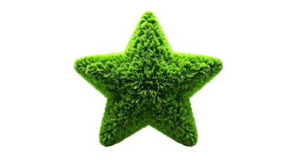 A vibrant, detailed star shape, meticulously crafted from green, textured foliage, stands out against a stark black backdrop