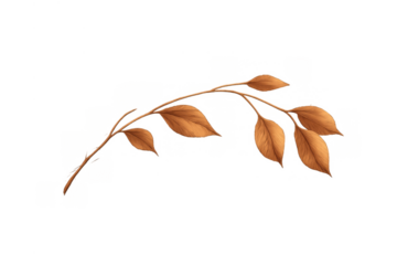 Autumn branch with golden brown leaves, natural fall foliage, seasonal botanical element, transparent background