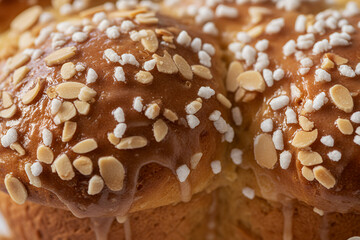 Close-Up of Traditional Italian Colomba Pasquale Almond Glaze