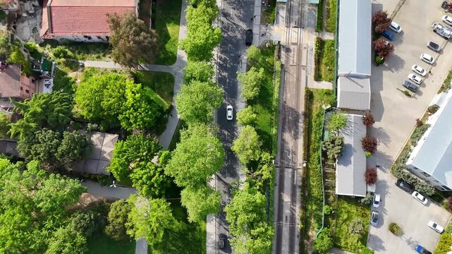 Drone view of a car traveling through green trees in Halic, Istanbul