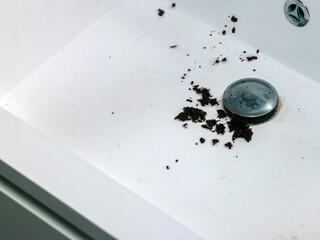  tea into a kitchen sink