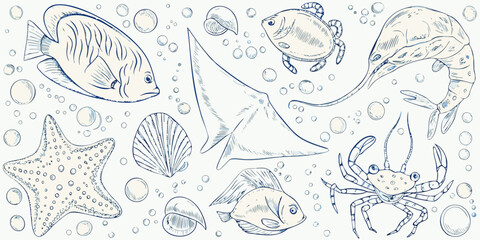 Sketch of various marine life fish crab starfish and other sea creatures