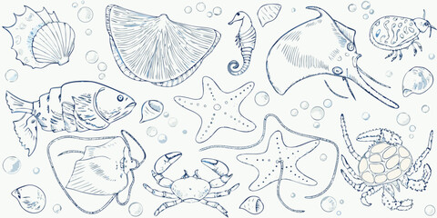 Detailed sketch of various marine life including fish turtles and shellfish © Delip