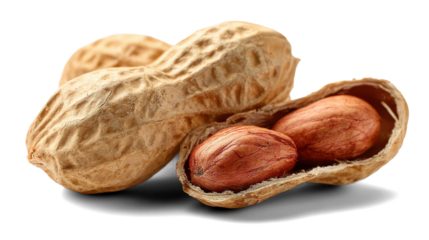 peanuts on a white background